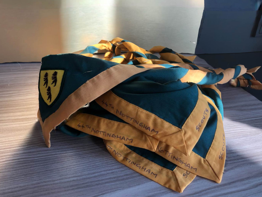 Ukraine Scouts